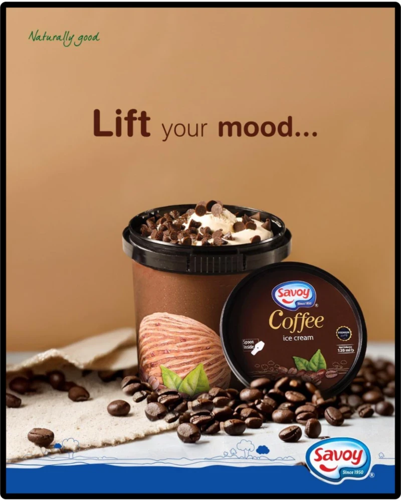 Savoy Fudge Ice Cream